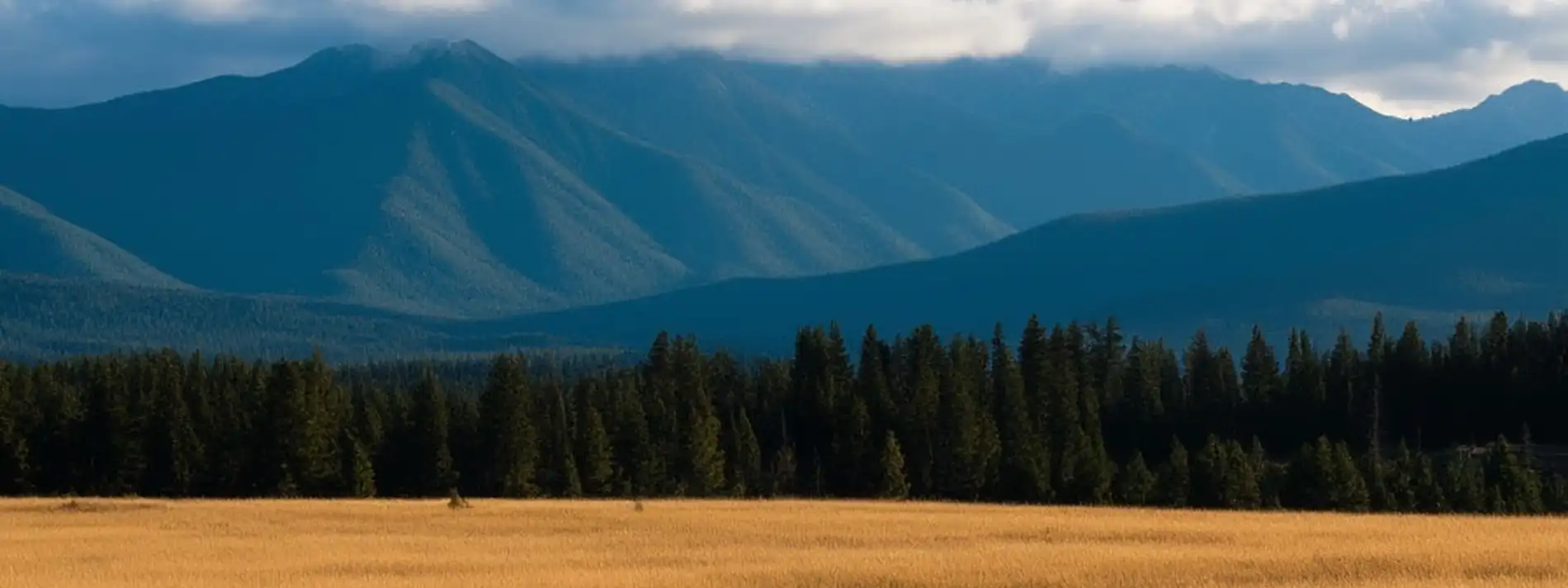 Утвердили новые национальные экологические стандарты